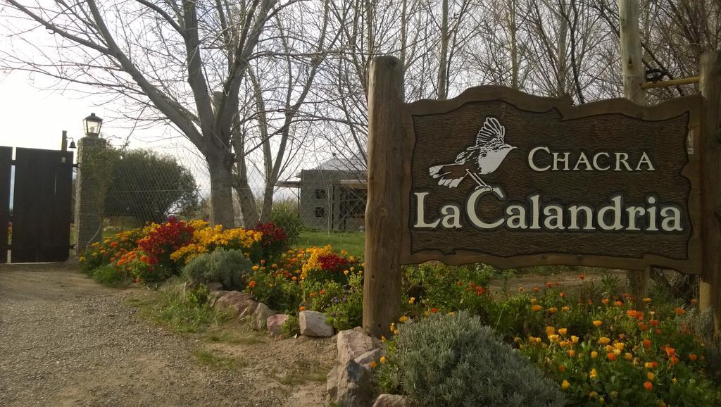 La Calandria Casa De Campo Villa ปูแอร์โตมาดริน ภายนอก รูปภาพ