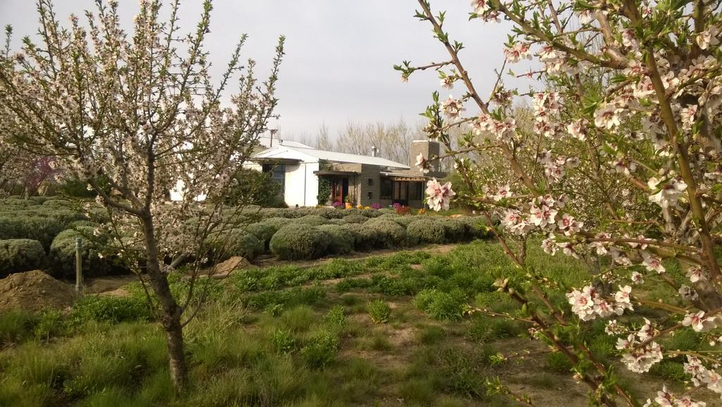 La Calandria Casa De Campo Villa ปูแอร์โตมาดริน ภายนอก รูปภาพ